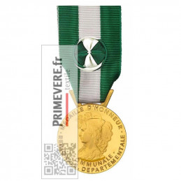Médaille Communale 35 Ans d'ancienneté