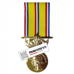 Médaille Pompier Grand Or 40 ans d'ancienneté