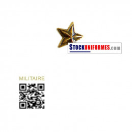 Etoile bronze Ordonnance pour Médaille