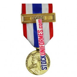 Médaille Protection Militaire du Territoire agrafe Egide