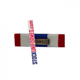 Barrette Protection Militaire du Territoire agrafe Egide