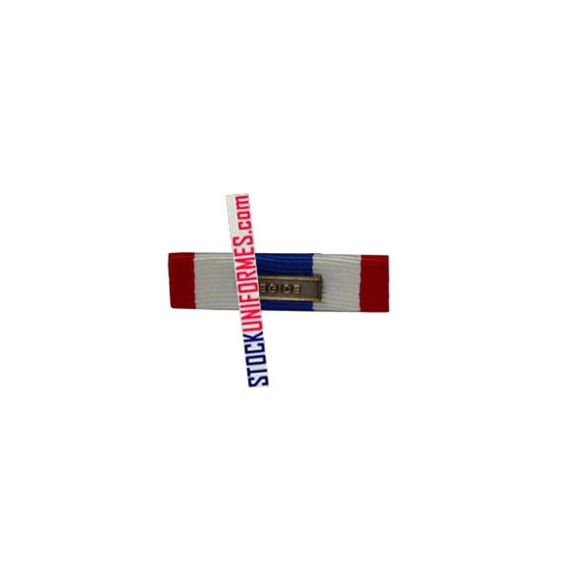Barrette Protection Militaire du Territoire agrafe Egide