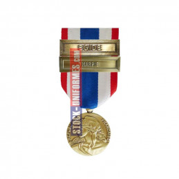 Médaille Protection Militaire du Territoire agrafes Harpie et Egide