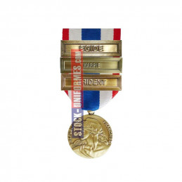 Médaille Protection Militaire du Territoire agrafes Harpie et Egide et Trident