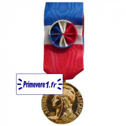 Médaille du Travail vermeil...