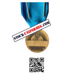Médaille ordonnance Jeunesse et Sports Bronze verso