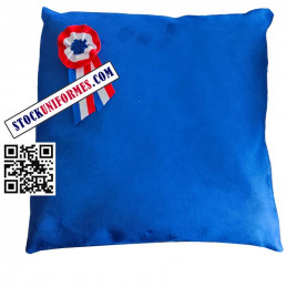 Coussin velours Bleu pour...