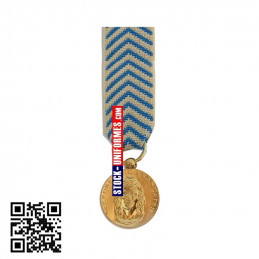 Médaille réduction Reconnaissance de la Nation
