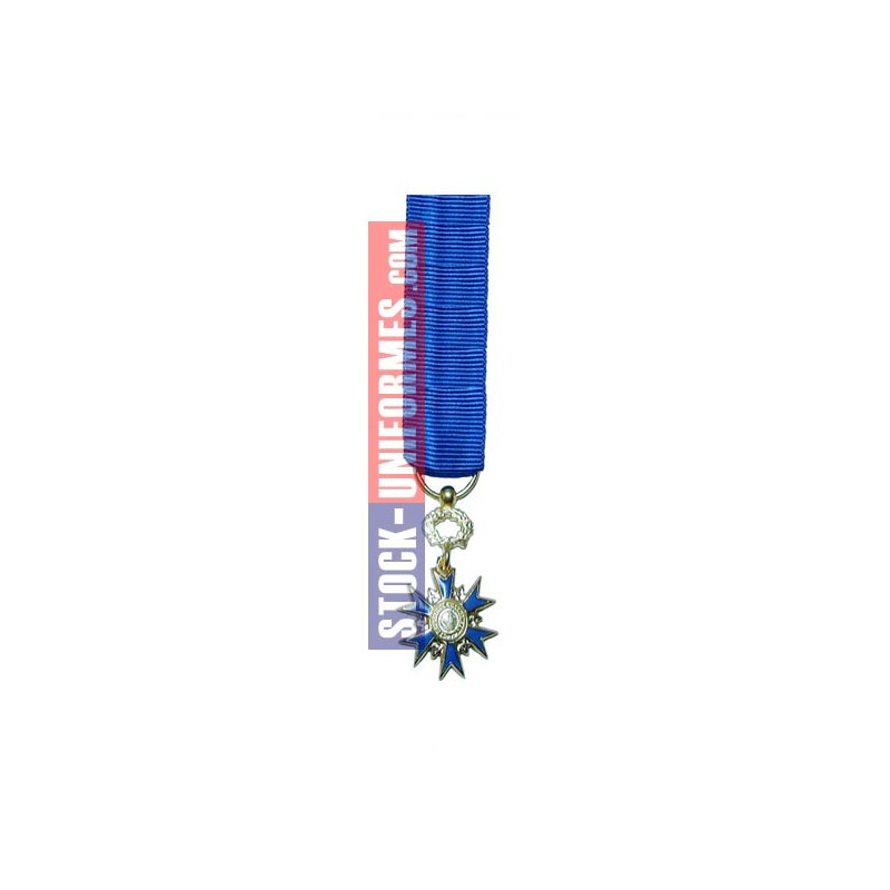 Médaille réduction Ordre National du Mérite Chevalier ONM Médaille réduction Ordre National du Mérite Chevalier ONM