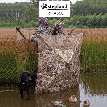 Stepland Primevere1 chasse | Chasse